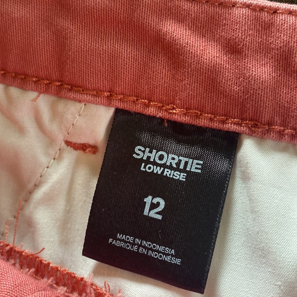 Express Shorts - Picture 3 of 5